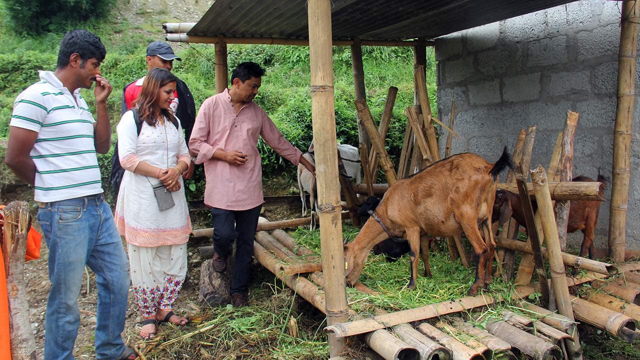 Goat Distribution Program, 2018