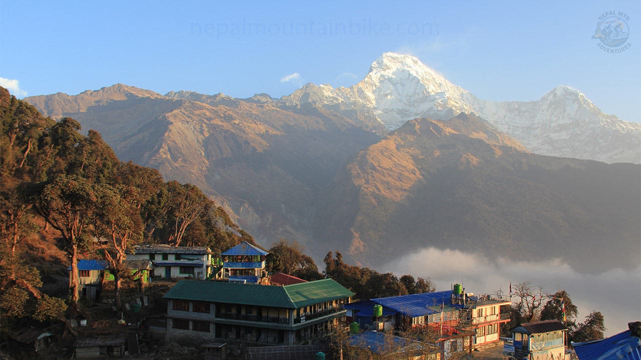 Ghorepani-Ghandruk-Trekking-Nepal.jpg
