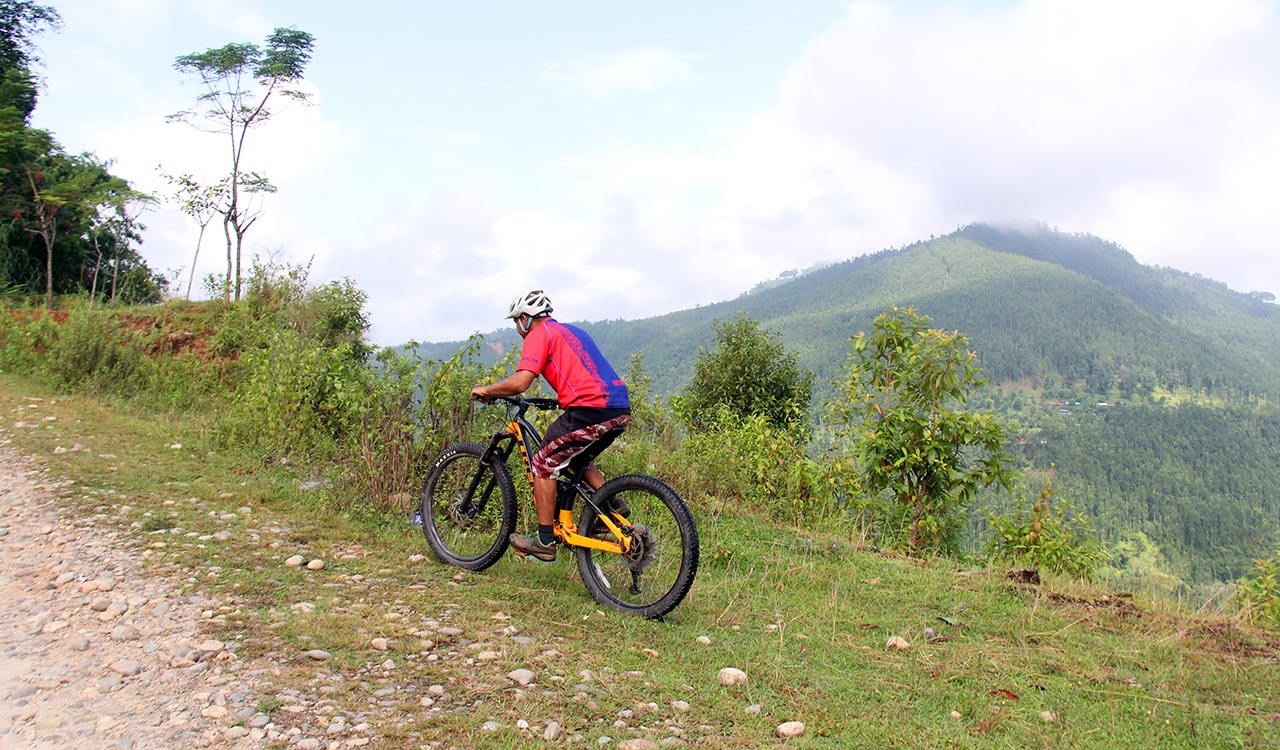 A mountain biker in red and blue jersey enjoys riding uphill with the scenery of lush forest