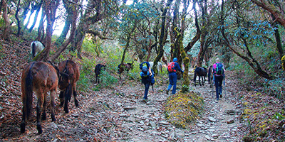 Mardi Himal Trek