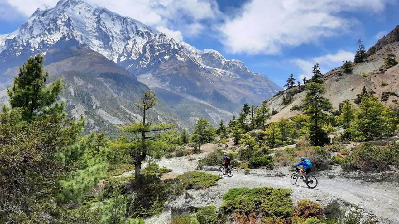 Mountain bikers are riding the quiet trail of Manang during guided MTB Tour in Annapurna Circuit.