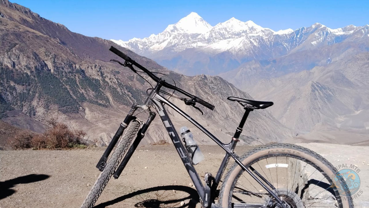 Trek bike x-caliber 8 captured with the backdrop of Dhaulagiri during Mustang mountain bike tour on Nepal.