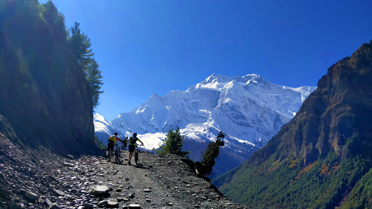 Mountain bikers are pushing their bikes while heading towards Ghyaru in Manang while observing the view of Annapurna II.