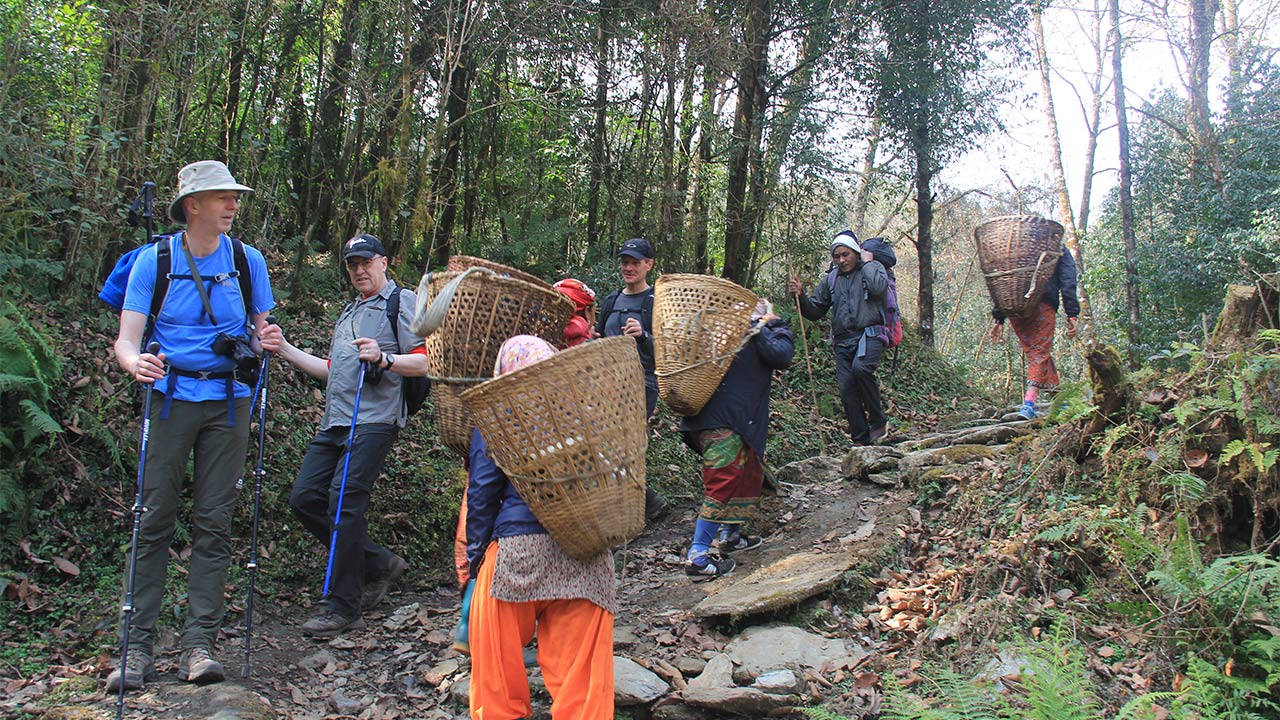 Trekkers are passing by the side as the local women are going to collect the timber wood with the baskets on the back.