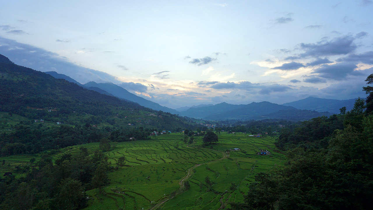 Terraced paddy fields in Sundar Bazaar, Nepal.