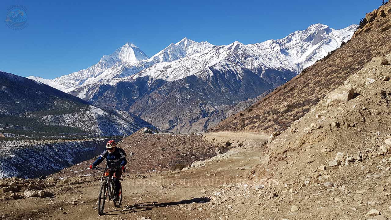 A mountain biker pedals through the rugged terrain of Mustang with the backdrop of Dhaulagiri during Nepal's Cross-Country MTB tour with Nepal MTB Adventures.